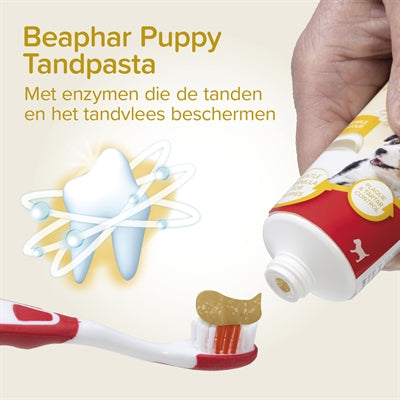 Beaphar Und Bürste Combo Pack Welpe