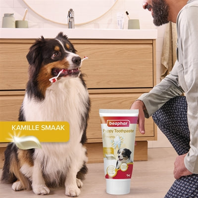 Beaphar Und Bürste Combo Pack Welpe