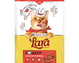 Lara Larve Erwachsenes Rind