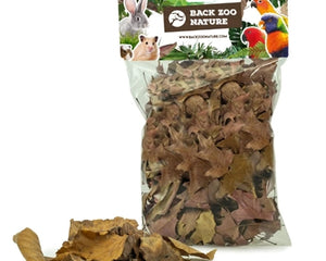 Back Zoo Nature Discovery Leaves Ca. 50 G R