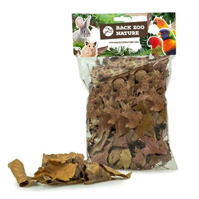 Back Zoo Nature Discovery Leaves Ca. 50 G R