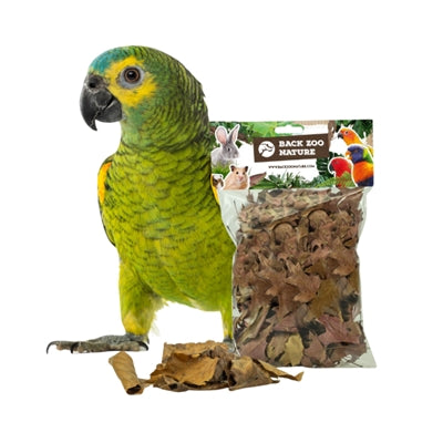 Back Zoo Nature Discovery Leaves Ca. 50 G R