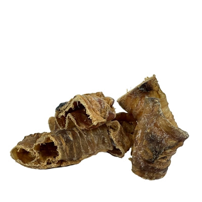 Petsnack Buffelslurf