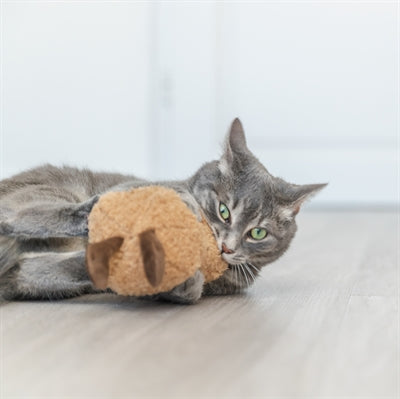 Trixie Jordnöt Xxl Plysch Med Amerikansk Catnip 20 Cm