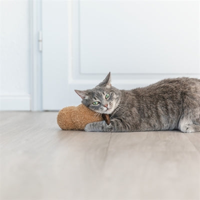 Trixie Jordnöt Xxl Plysch Med Amerikansk Catnip 20 Cm