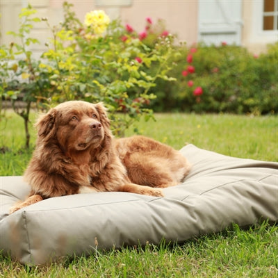Zolux Hundkudde 4 Seasons Vattenavvisande Polyester Fyrkantig Khaki