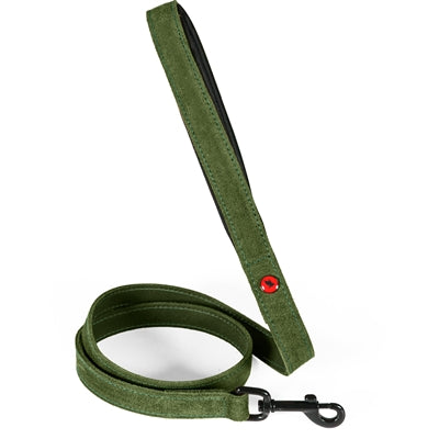 Zolux Expert Hundkoppel Premium Läder / Neopren Grön