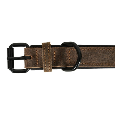 Zolux Expert Halsband Hund Premium Läder / Neopren Brun