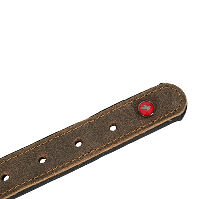 Zolux Expert Halsband Hund Premium Läder / Neopren Brun