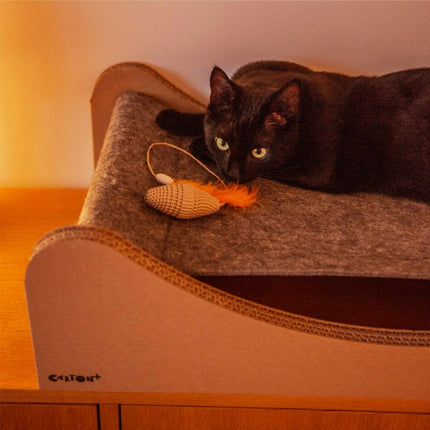 Carton+Pets Hängmatta För Katt Carton+Pets Mia Grå