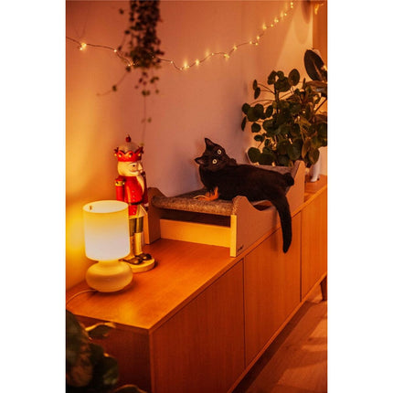 Carton+Pets Hängmatta För Katt Carton+Pets Mia Grå