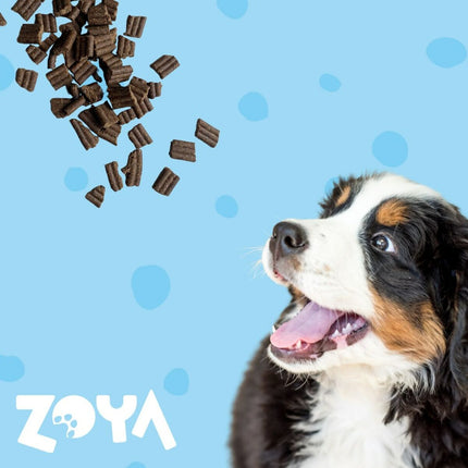 Zoya Foder Zoya Anka 1 Kg