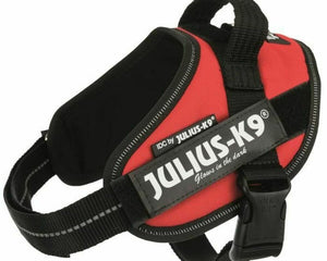 Julius K9 Hundsele Julius K9 Idc Röd