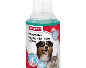 Beaphar-Mundwasser