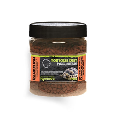 Komodo Nahrung Schildkröte Löwenzahn