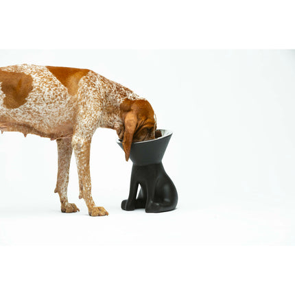 United Pets Hundmatare United Pets Up Elisabeth Svart Rostfritt Stål Polyetylen 1 L