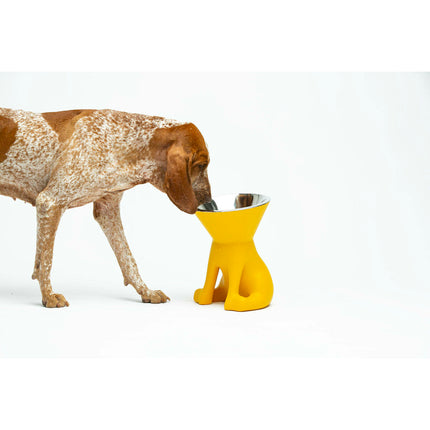 United Pets Hundmatare United Pets Elisabeth Yellow Rostfritt Stål Polyetylen 1 L