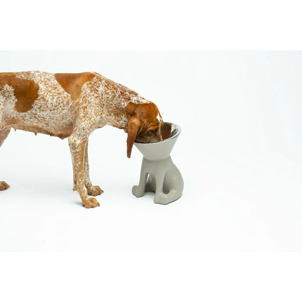 United Pets Hundmatare United Pets Up Elisabeth Grå Rostfritt Stål Polyetylen 1 L