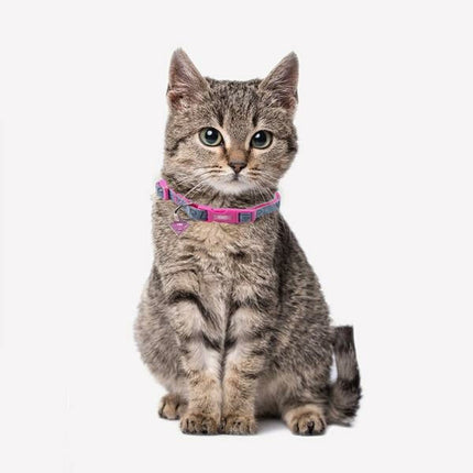 Superman Hundhalsband Superman Xxs/Xs Rosa