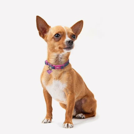 Superman Hundhalsband Superman Rosa S/M