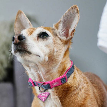 Superman Hundhalsband Superman Rosa M/L
