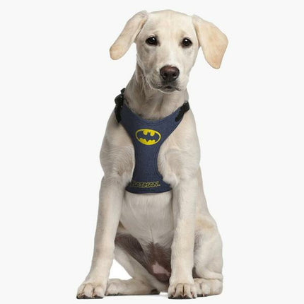 Batman Hundsele Batman Xxs/Xs Blå