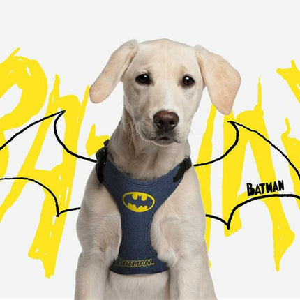 Batman Hundsele Batman Xxs/Xs Blå