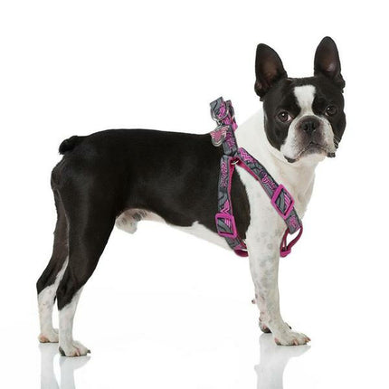 Superman Hundsele Superman Rosa M/L
