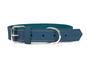 Gloria Hundhalsband Gloria Oasis Blå (1,2 X 35 Cm)