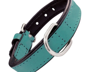 Gloria Hundhalsband Gloria Vadderad Turquoise 40 Cm (40 X 2 Cm)