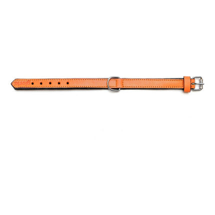 Gloria Hundhalsband Gloria Vadderad Orange (40 X 2 Cm)