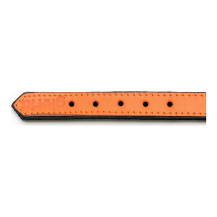 Gloria Hundhalsband Gloria Vadderad Orange (45 X 2 Cm)