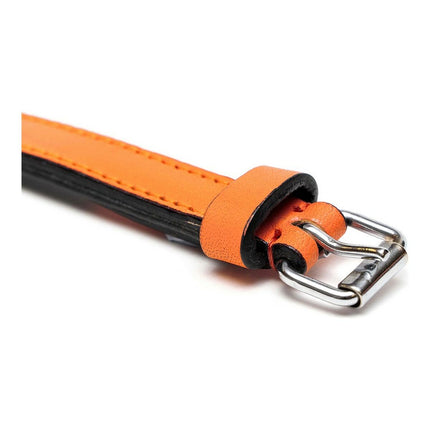 Gloria Hundhalsband Gloria Vadderad Orange (45 X 2 Cm)