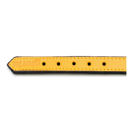 Gloria Hundhalsband Gloria Vadderad Gul (55 X 2,5 Cm)
