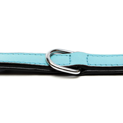 Gloria Hundhalsband Gloria 30 Cm Vadderad Läder Blå