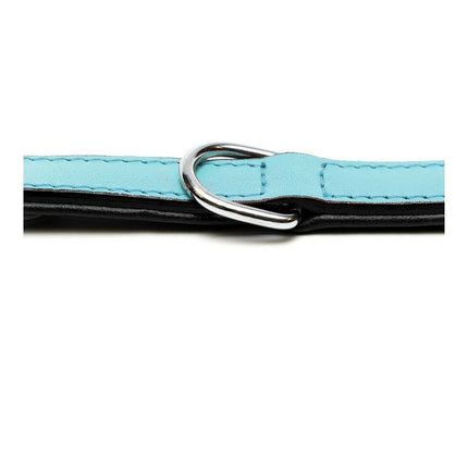 Gloria Hundhalsband Gloria Vadderad Blå (50 X 2,5 Cm)