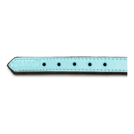 Gloria Hundhalsband Gloria Vadderad Blå (50 X 2,5 Cm)