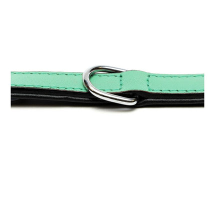 Gloria Hundhalsband Gloria Vadderad Grön (40 X 2 Cm)