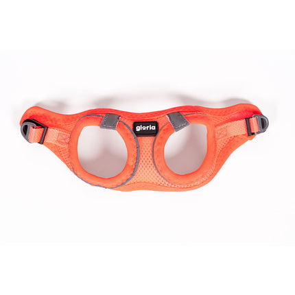 Gloria Hundsele Gloria Trek Star 24-26 Cm 28-28,6 Cm Orange Xxs