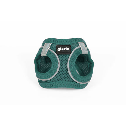 Gloria Hundsele Gloria Trek Star 24-26 Cm 28-28,6 Cm Turkos Xxs