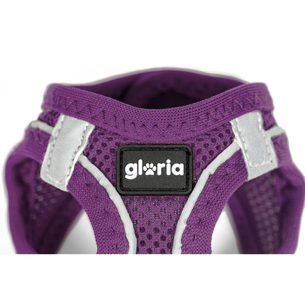 Gloria Hundsele Gloria Trek Star 27-28 Cm 31-34,6 Cm Purpur Xs