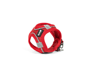 Gloria Hundsele Gloria Trek Star 27-28 Cm 31-34,6 Cm Röd Xs