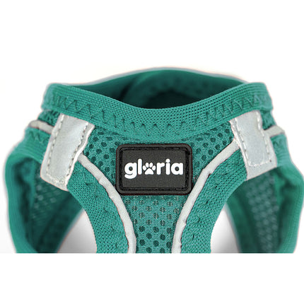 Gloria Hundsele Gloria Trek Star 32,8-35,4 Cm 45-47 Cm Turkos M