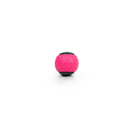 Gloria Boll Till Husdjur Gloria Play And Run Rosa Tpr M 6,35 Cm 2 Antal