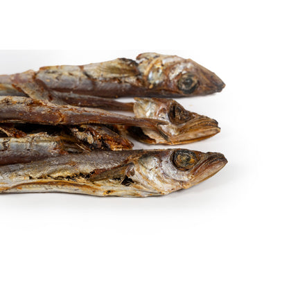 Snackys Våt Mat Snackys Fisk