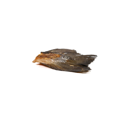 Snackys Våt Mat Snackys Fisk
