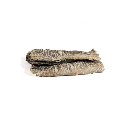 Snackys Våt Mat Snackys Fisk