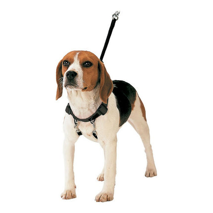 Gloria Hundsele Gloria 30-42 Cm Storlek M