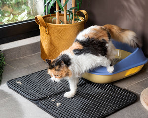 Innovagoods Matta För Kattsandlåda Clikatt Innovagoods