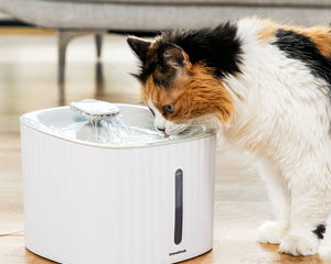 Innovagoods Fontän För Husdjur Drinkatt Innovagoods